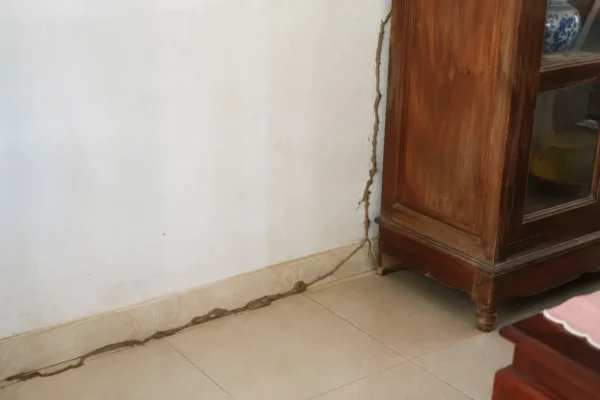 Dấu hiệu nhà bị mối tại Huế và khi nào cần gọi thợ xử lý