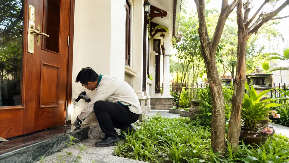 Diệt mối tận gốc tại Huế cho biệt thự, nhà vườn cần lưu ý gì?