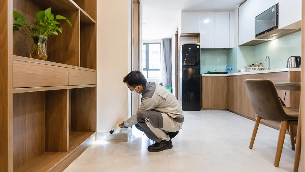 Diệt mối tận gốc tại Huế cho căn hộ chung cư có khác nhà mặt đất không?
