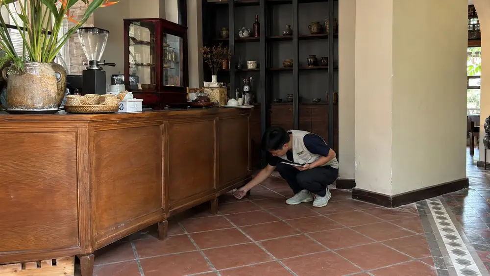 Diệt mối tận gốc tại Huế cho quán cafe, showroom cần xử lý kín đáo ra sao?
