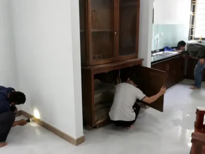 Nhà mới mua ở Huế phát hiện mối: nên xử lý tận gốc trước khi dọn vào ở