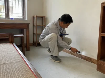 Diệt mối tận gốc tại Huế cho nhà thuê, nhà trọ: chủ nhà và người thuê nên phối hợp thế nào?
