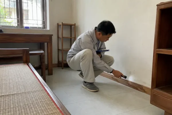 Diệt mối tận gốc tại Huế cho nhà thuê, nhà trọ: chủ nhà và người thuê nên phối hợp thế nào?