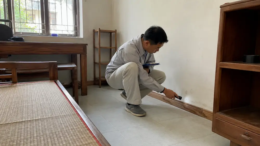 Diệt mối tận gốc tại Huế cho nhà thuê, nhà trọ: chủ nhà và người thuê nên phối hợp thế nào?